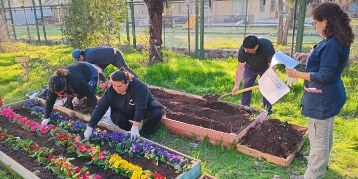 ¡Nuestro huerto escolar sigue creciendo!