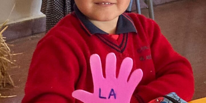 En Kínder, nuestra educadora de párvulos Karen Torres, junto a su dedicado equipo de aula, trabajó los artículos utilizando material concreto y el texto Sonrisa.